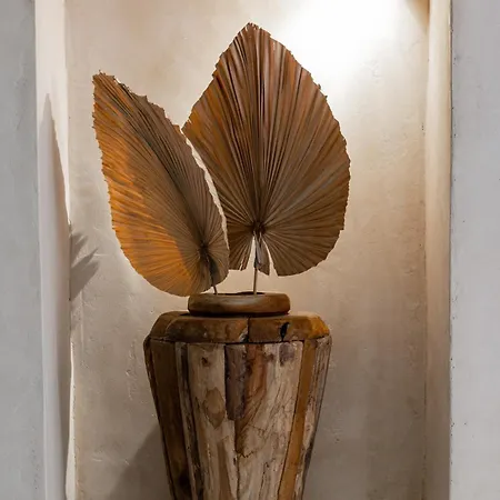 Danae Hotel Nauplia